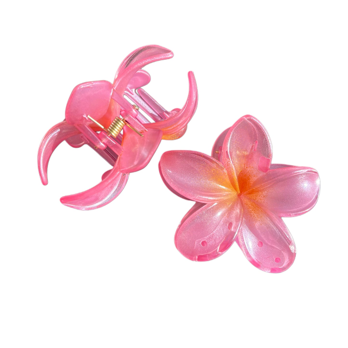 Hibiscus Glow Clip